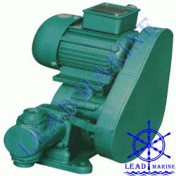 DZB Electrical Plunger Pump,TAIZHOU TIANTAISHAN WATER PUMP PLANT-