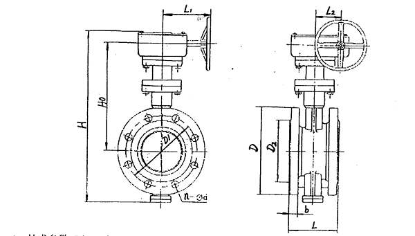 Marine Flange Type Double Eccentric Worm Gear Operated Metal Seat Butterfly Valve HDMV100