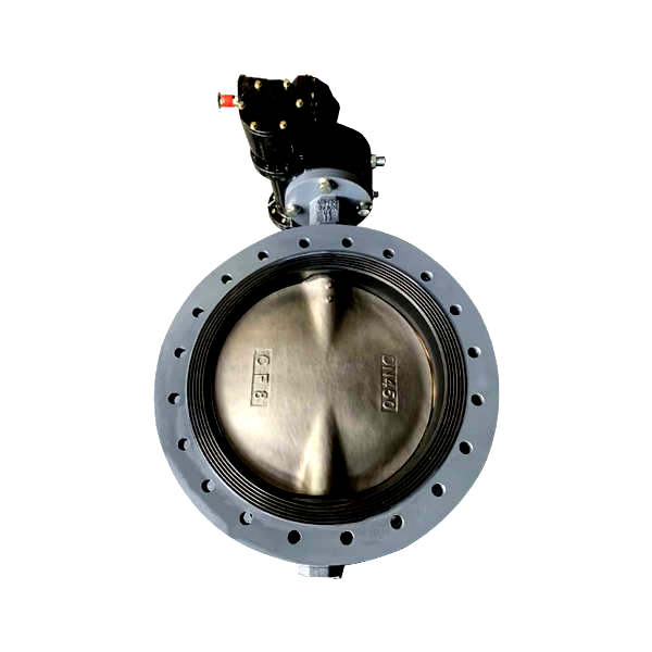 Marine Center-Pivoted Worm Manual Flange Butterfly Valve GB/T3036-94 FC Type