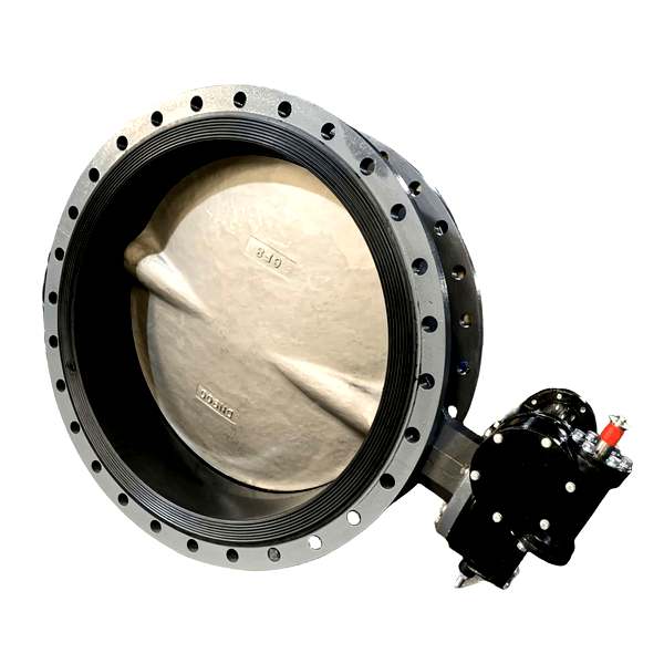 Marine Centric Double Flange Type Worm Gear Operated Buterfly Valve(Type 1FFW) Dalian Standard