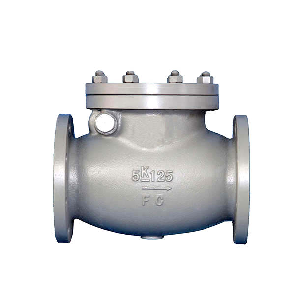 Marine Valve F7372 JIS 5K Cast Iron Swing Check Valve