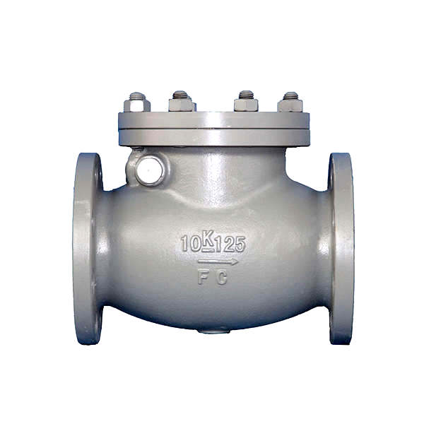 Marine Valve F7373 JIS 10K Cast Iron Swing Check Valve