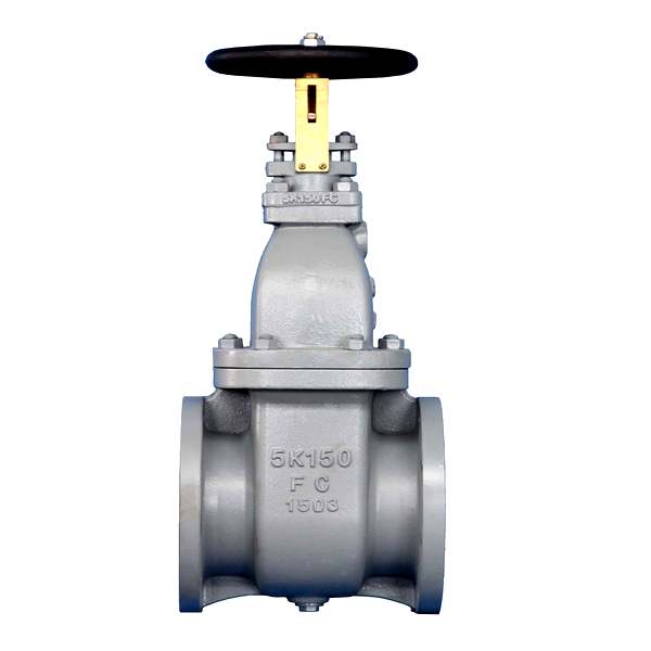 Marine Valve F7363 JIS-5K Cast Iron Gate Valve