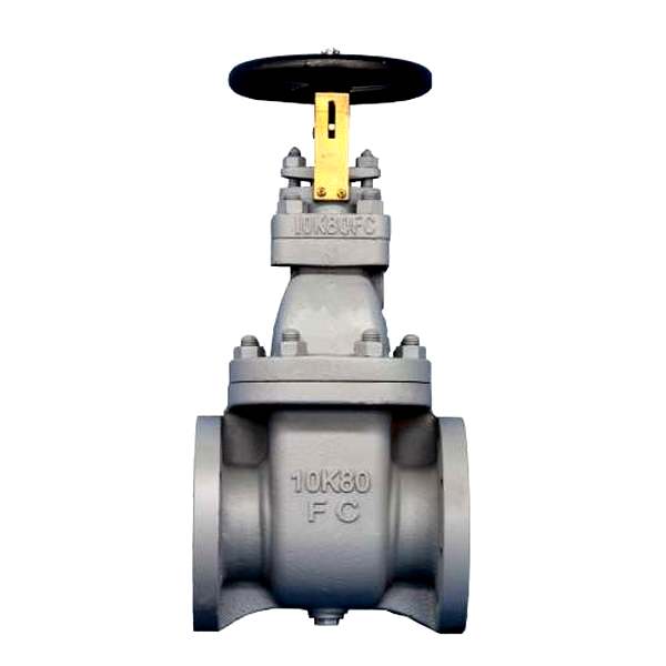 Marine Valve F7364 JIS-10K Cast Iron Gate Valve