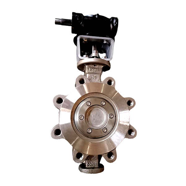 Marine Stainless Steel Double Eccentric LUG Butterfly Valve