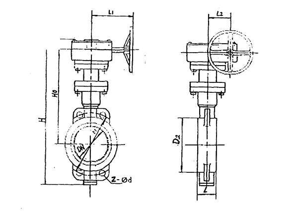 Marine Wafer Type Double Eccentric Worm Gear Operated Metal Seat Butterfly Valve HDMV102