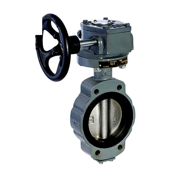 Marine Center-Pivoted Worm Manual Butterfly Valve GB/T3036-94 C Type